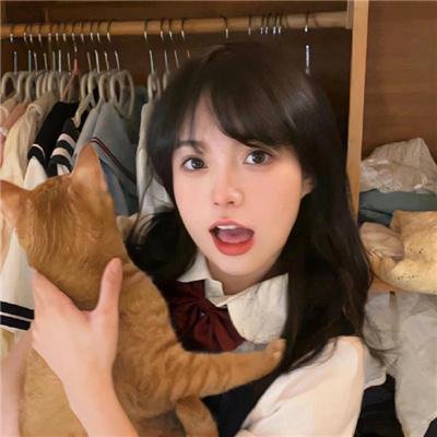 夺宝记